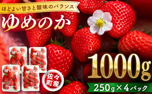 【先行予約・1月発送開始】佐々町産 いちご 「ゆめのか」約1.0kg （250g×4パック）【市丸農園 いちご研究室】 [QBF001] -  長崎県佐々町｜ふるさとチョイス - ふるさと納税サイト