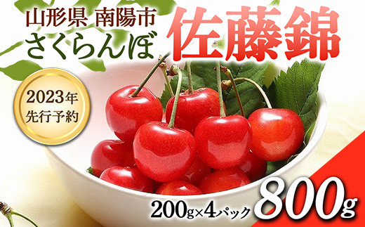 《2023年 先行予約》さくらんぼ 佐藤錦 800g(200g×4パック) フードシステムズ 山形県 南陽市 1694