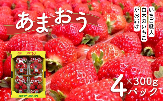 いちご職人 白木のいちご あまおう 300g×4パック詰め（M～3Lサイズ