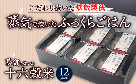 蒸気で炊いた十六穀米 12個セット（GF003-NT）