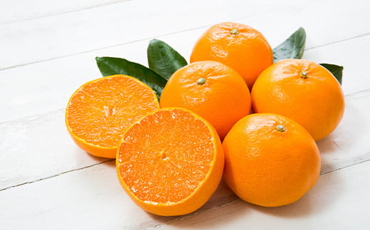 果汁もたっぷりで、食べる柑橘という表現がぴったり。一度食べたら忘れられない味です。