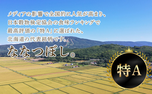 定期便12回】北海道産ななつぼし 5kg - 北海道千歳市｜ふるさと