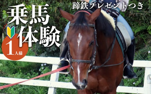 体験乗馬(蹄鉄プレゼントつき) | 馬 乗馬 未経験者歓迎 体幹トレーニング ふれあい 奈良県 平群町