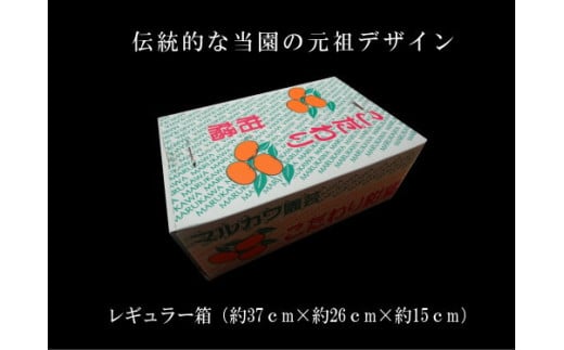 愛知県豊橋市のふるさと納税 ≪先行予約≫ 大トロみかん『木熟せとか』レギュラー箱　厳選プレミアム　4.2Kg