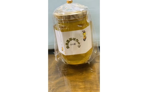 天然百花ハチミツ 合計500g(250g×2)　ハチミツ 蜂蜜 天然 純粋 599018 - 福岡県苅田町