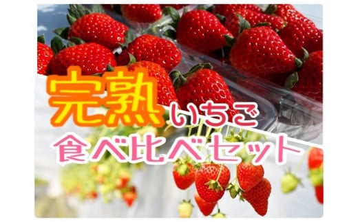 『完熟いちご 食べ比べセット【紅ほっぺ＆章姫】』（約250ｇ×2パック  計約500ｇ） 599400 - 愛知県豊橋市