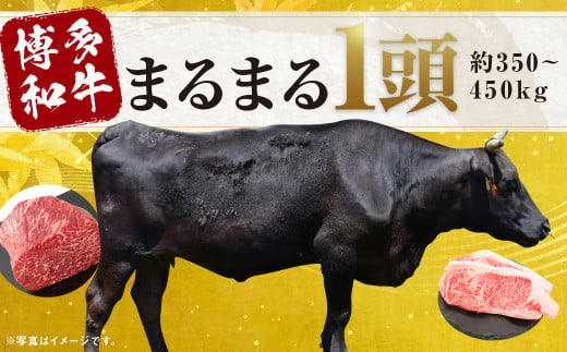 博多和牛 まるまる 1頭 350〜450kg 和牛 牛肉