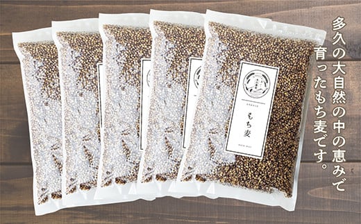 もち麦 5kg 国産 永石さんちのもち麦 | もち麦 5kg 国産 ダイエット 食物繊維 腹持ち ※画像はイメージ