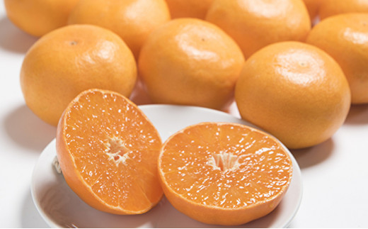 【１月から順次発送】佐賀産柑橘（かんきつ）『せとか』約３ｋｇ箱　※写真はイメージです