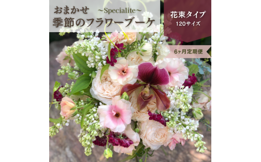 23年9月以降発送 お花の定期便 フレンチスタイルのフラワーブーケ Specialite スペシャリテ 6ヶ月 千葉県八千代市 ふるさとチョイス ふるさと納税サイト