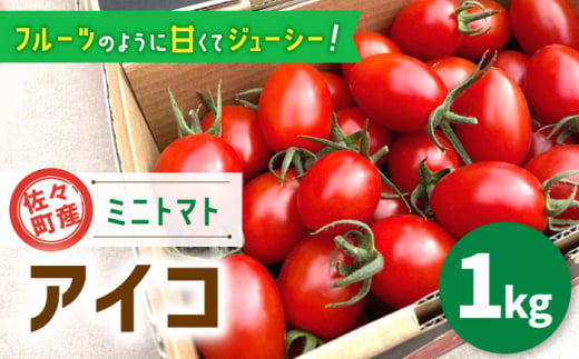 【甘くてジューシー】ミニトマト アイコ 1.0kg【C&T farm】 [QBG001]|C&T farm