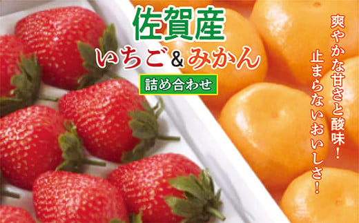 佐賀産 いちご & みかん の 詰め合わせ イチゴ 12〜15粒 みかん 12〜15玉 | ほのか or さがほのか ギフト箱 さがみかん _z-86