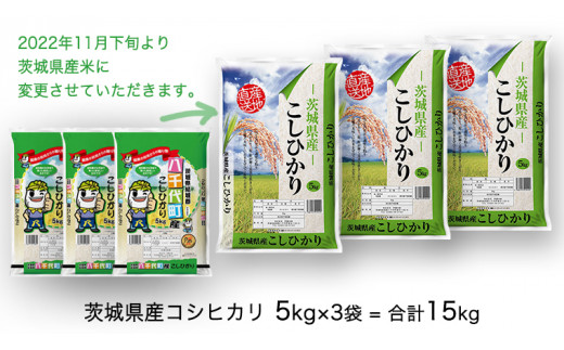 令和4年産 数量限定 五つ星お米マイスター監修 八千代町産コシヒカリ