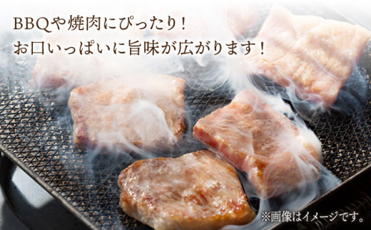 BBU010 【長崎和牛】 焼肉用カルビ 500g 【BBQに最適！】-2