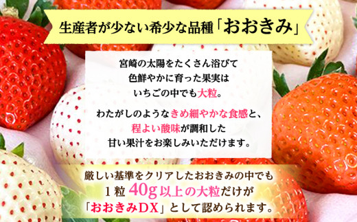 期間・数量限定 宮崎県産 イチゴ「おおきみDX」1パック(9粒)_M260-004