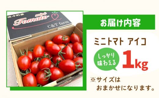 【甘くてジューシー】ミニトマト アイコ 1.0kg【C&T farm】 [QBG001] - 長崎県佐々町｜ふるさとチョイス - ふるさと納税サイト