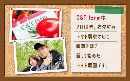 【甘くてジューシー】ミニトマト アイコ 1.0kg【C&T farm】 [QBG001]|C&T farm