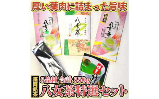 福岡銘茶八女茶 特選セット5種合計550g 老舗製茶店の逸品(吉富町)【1330362】 795692 - 福岡県吉富町