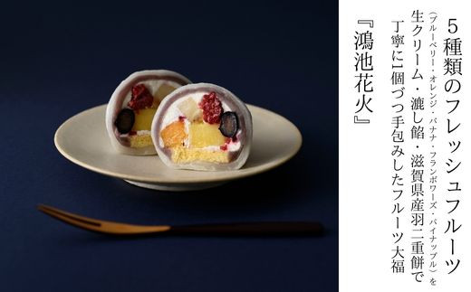 S-6 五條堂のフルーツ大福「鴻池花火」(10個入り) 580309 - 大阪府東大阪市
