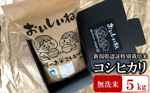 【令和5年産米】おいしいね 厳選 新潟県認証特別栽培米 コシヒカリ 無洗米 5kg[ZB495]
