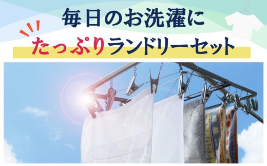 粉末洗剤と柔軟剤に加えて、洗濯槽クリーナーや頑固な汚れ落とし洗剤など