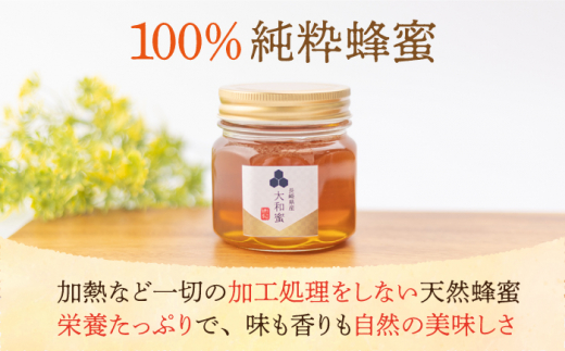 日本蜂蜜(百花蜜) 500g 2本 天然純粋、日本ミツバチ