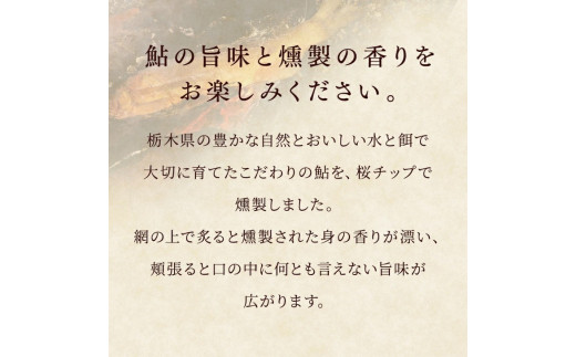 鮎の燻製 3尾】産地直送 天然仕立て おつまみ 高級 ※着日指定不可