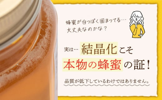 長崎の純粋はちみつ】日本蜜蜂 百花蜜 170g×3本 ー2024年7月より順次発送ー 長与町/ハチミツ屋はなまる [ECD001] 純粋はちみつ 生はちみつ  ハチミツ 国産 蜂蜜 天然 ハニー 非加熱 / 長崎県長与町 | セゾンのふるさと納税