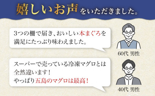 全12回定期便】本マグロ (赤身/中トロ) 切るだけお刺身 計12kg (1kg×12