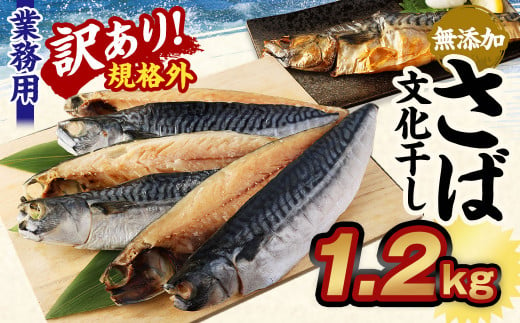 【訳あり規格外】 業務用 無添加さば文化干し 1.2kg 鯖 さば 干物 魚 599252 - 茨城県神栖市