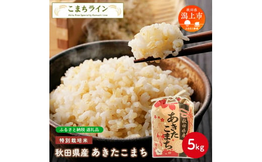 令和5年産 秋田県産 あきたこまち特別栽培米【玄米】 5kg
