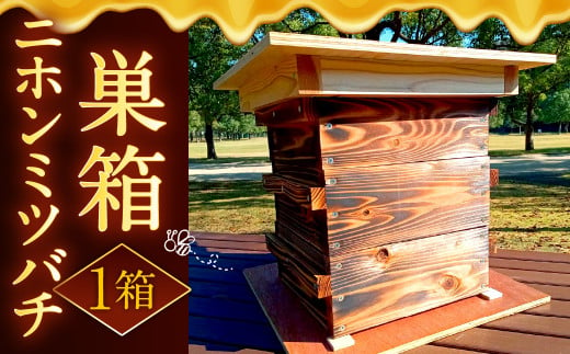 ニホンミツバチ 巣箱 1セット ミツバチ ハチ 蜜蜂 蜂 蜂蜜 はちみつ ハチミツ 580958 - 福岡県北九州市