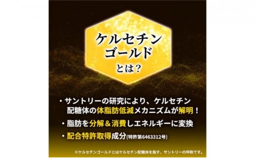 お茶 定期便 2ヶ月 サントリー 緑茶 伊右衛門 特茶 （特定保健用食品