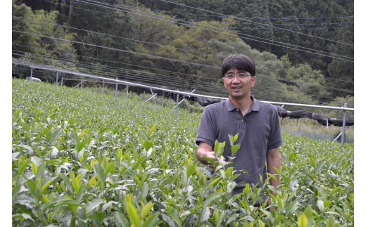 茶畑と生産者