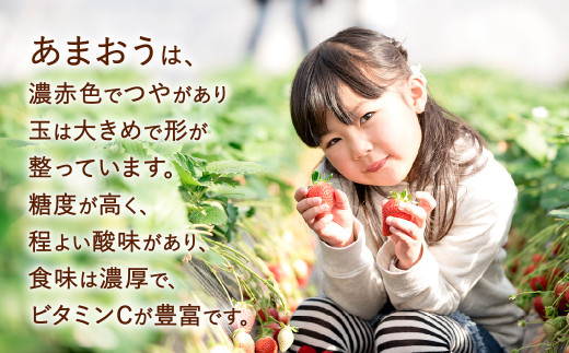 福岡県産 あまおう 計1080g (270g×4パック) いちご 苺