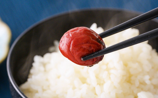 鶴喰の朝ごはん 令和4年産 鶴喰米 味噌 梅干し セット 無洗米