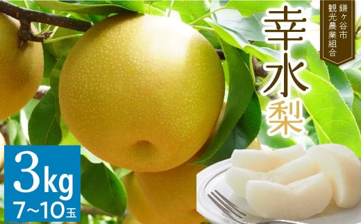【幸水 約3kg】かまがや育ちの完熟梨（観光組合） 775479 - 千葉県鎌ケ谷市