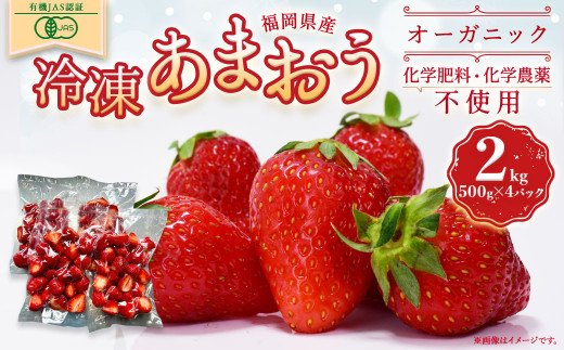 オーガニック冷凍あまおう 2kg (500g×4パック)【伊世いちご畑】_KA0618