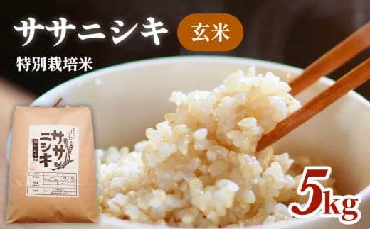 令和5年産 特別栽培米 ササニシキ 玄米 5kg 851315 - 宮城県石巻市
