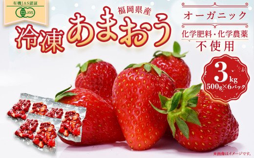 オーガニック冷凍あまおう 3kg (500g×6パック)【伊世いちご畑】_KA0619