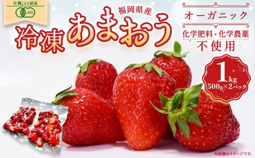 オーガニック冷凍あまおう 1kg (500g×2パック)【伊世いちご畑】_KA0617