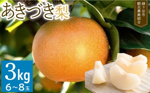 【あきづき約3kg】かまがや育ちの完熟梨（観光組合） 775477 - 千葉県鎌ケ谷市