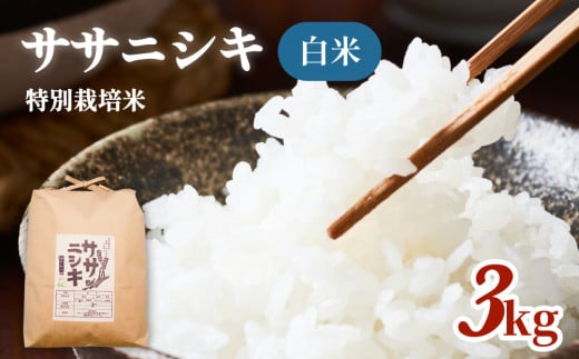 令和5年産 特別栽培米 ササニシキ 白米 3kg 851312 - 宮城県石巻市