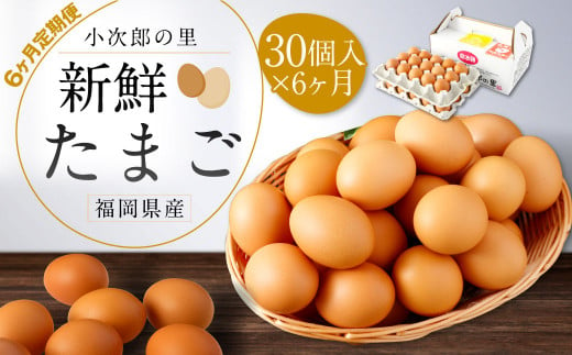 【6ヶ月定期便】鶏卵 30ヶ入×6回 合計180個 たまご 福岡県産 957141 - 福岡県嘉麻市