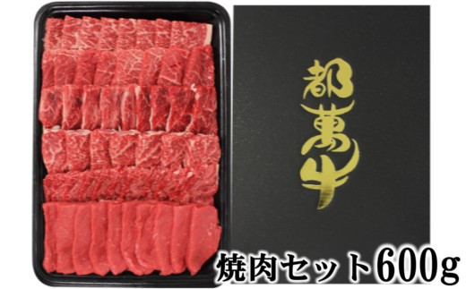 都萬牛 黒毛和牛焼肉 600ｇ 牛肉 焼肉＜2-24＞ 1096734 - 宮崎県西都市