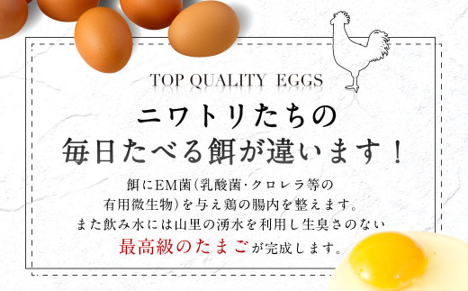 【6ヶ月定期便】鶏卵 30ヶ入×6回 合計180個