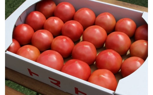 9月は甘みと酸味のバランスの良いトマトをお届けします。