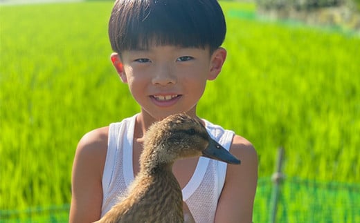 国際格安 ☆長崎県平戸産☆完全無農薬・合鴨農法☆ 米 biosolucionesudd.cl