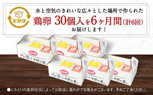 6ヶ月定期便】鶏卵 30ヶ入×6回 合計180個 たまご 福岡県産 - 福岡県嘉