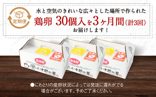 3ヶ月定期便】鶏卵 30ヶ入×3回 合計90個 たまご 福岡県産 - 福岡県嘉麻